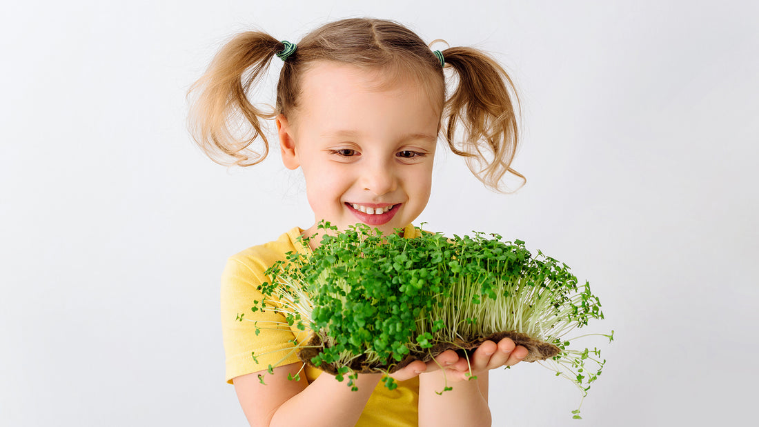 Microgreen Benefits for Children