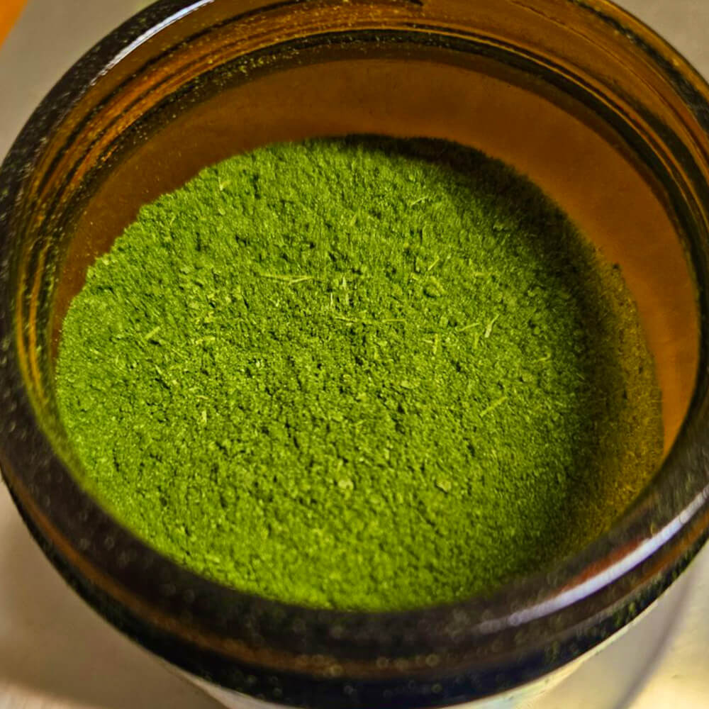 Sunflower Microgreen Powder